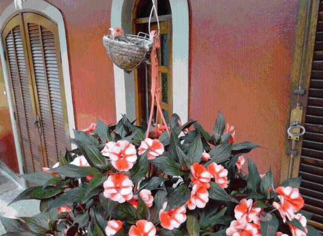 豪华房间, Pousada Romântica Serra Da Mata