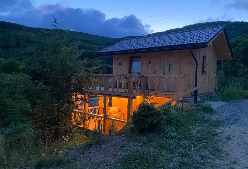 Номер Стандарт, To Lem Ande