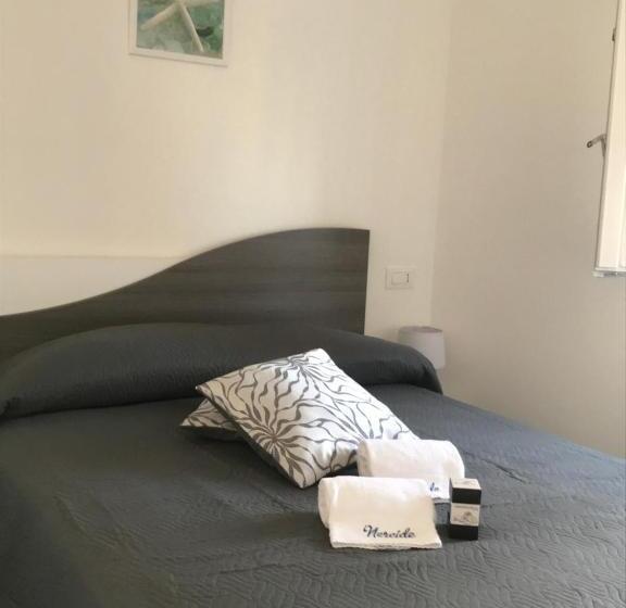 Habitació Basic, Nereide