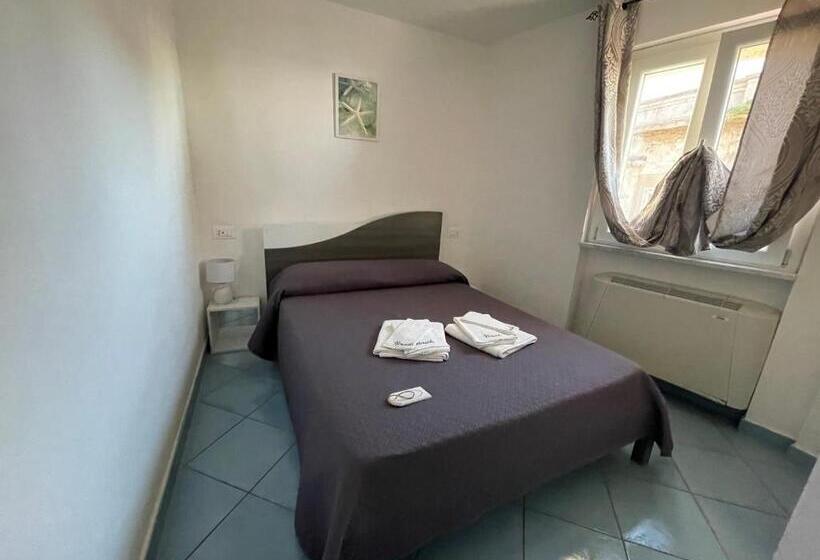 Habitació Basic, Nereide