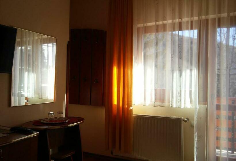 חדר סטנדרט עם מרפסת, Pension Casa Soarelui