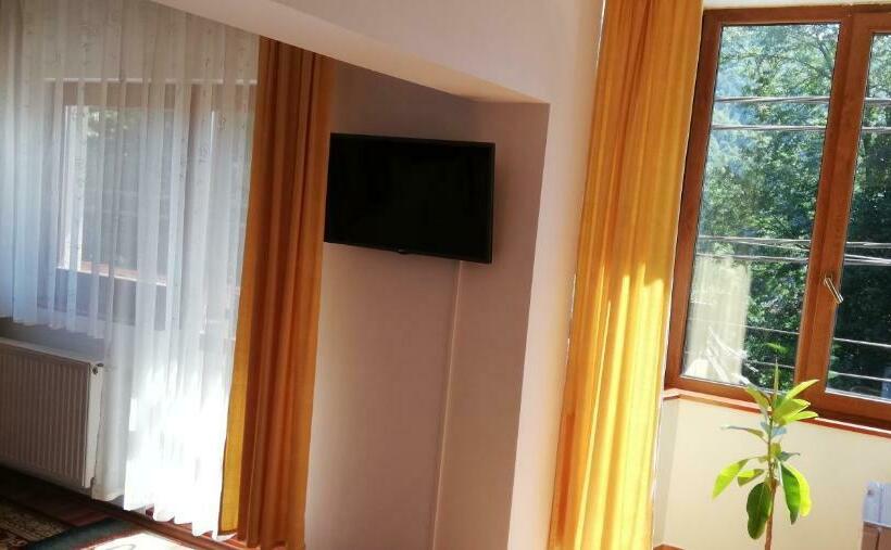 סטודיו סופריור, Pension Casa Soarelui