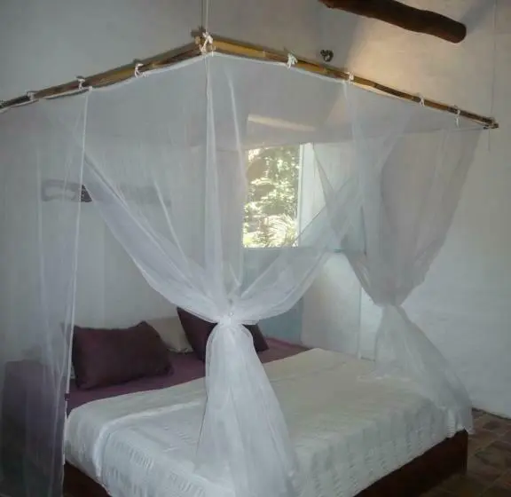 اتاق سوپریور با تخت بزرگ, Posada Finca San Vicente B&b