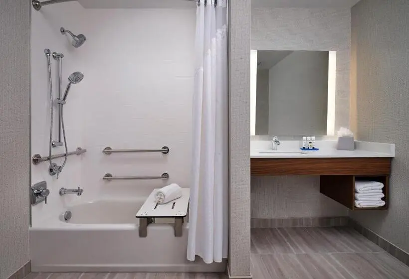 身障者適用キングサイズベッドルーム, Holiday Inn Express & Suites   Lockport, An Ihg