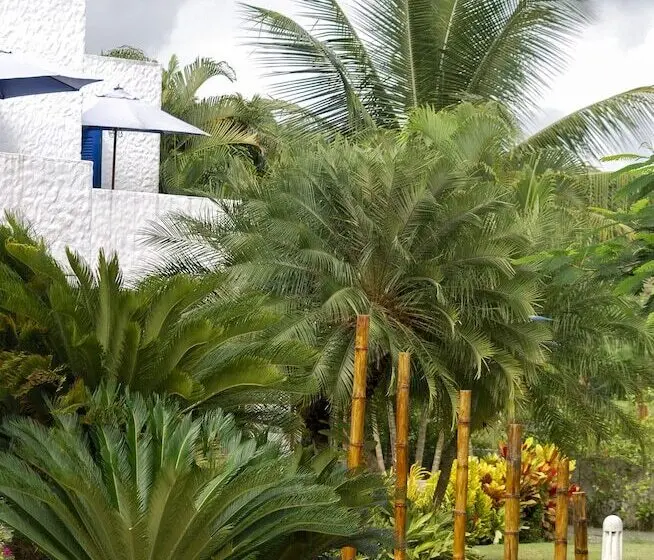 1ベッドルームベーシックアパートメント, Green9 Hotel & Beach Resort Same