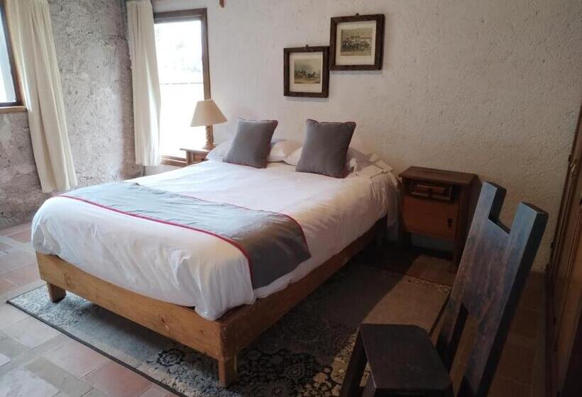 スタンダードルーム, Xani Mui