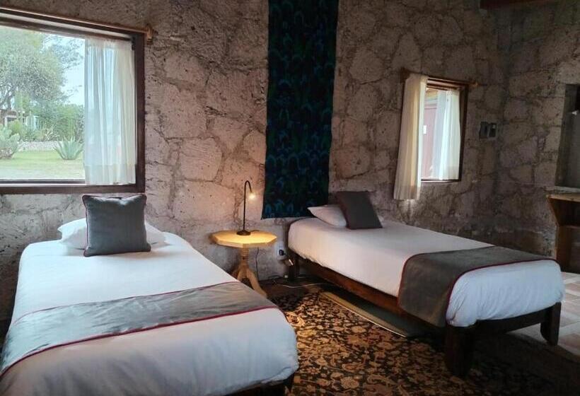 スタンダードバンガロー, Xani Mui