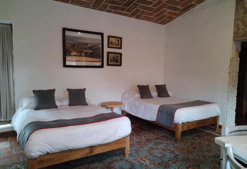 家族用バンガロー, Xani Mui