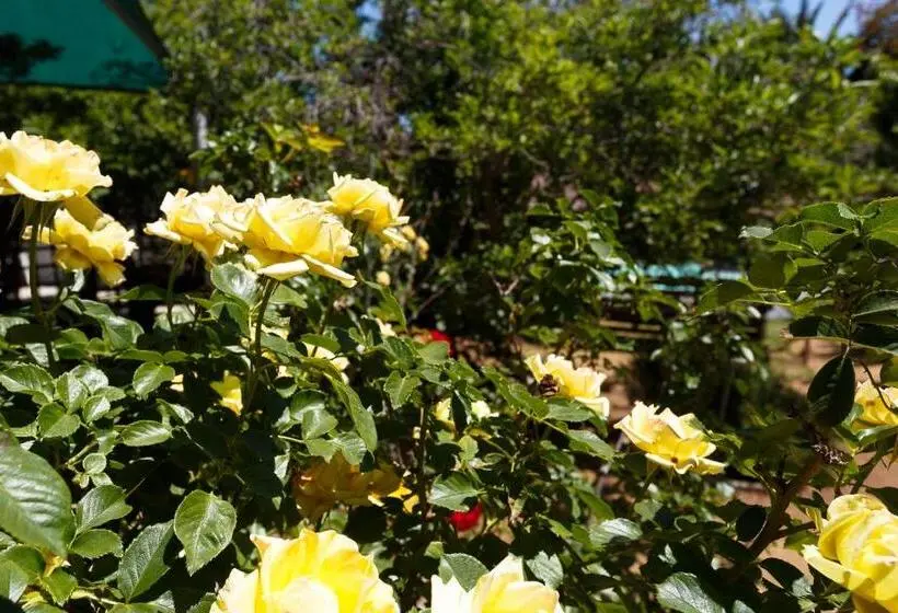 ファミリールーム, Gariep Dam Sunrose Group Of Guest Houses