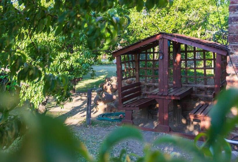 חדר סטנדרט, Gariep Dam Sunrose Group Of Guest Houses