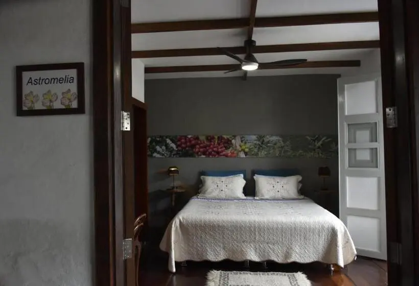 デラックススタジオ, La Estancia Hotel Boutique