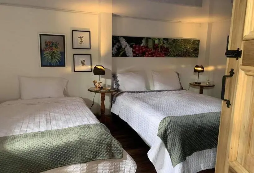 トリプルクラシックルーム, La Estancia Hotel Boutique