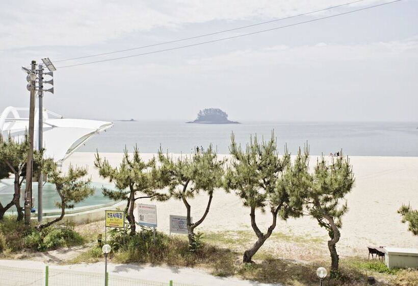 Quarto Duplex, Solsum House