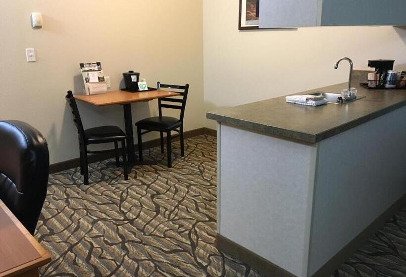 带大床的标准间, Aspen