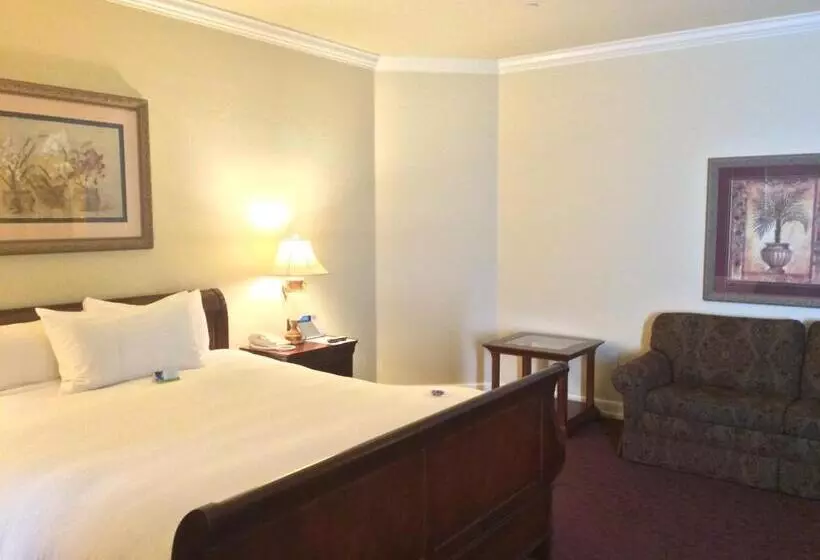 اتاق سوپریور با تخت بزرگ, Carlton