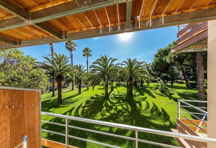 Номер Superior Одноместный, Club Marina Viva