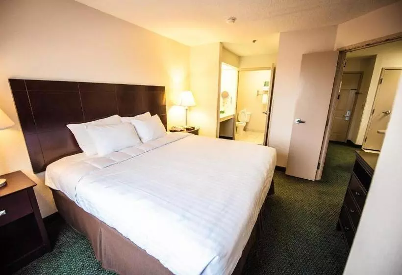 キングサイズベッドのスタンダードルーム, Greystone Inn & Suites