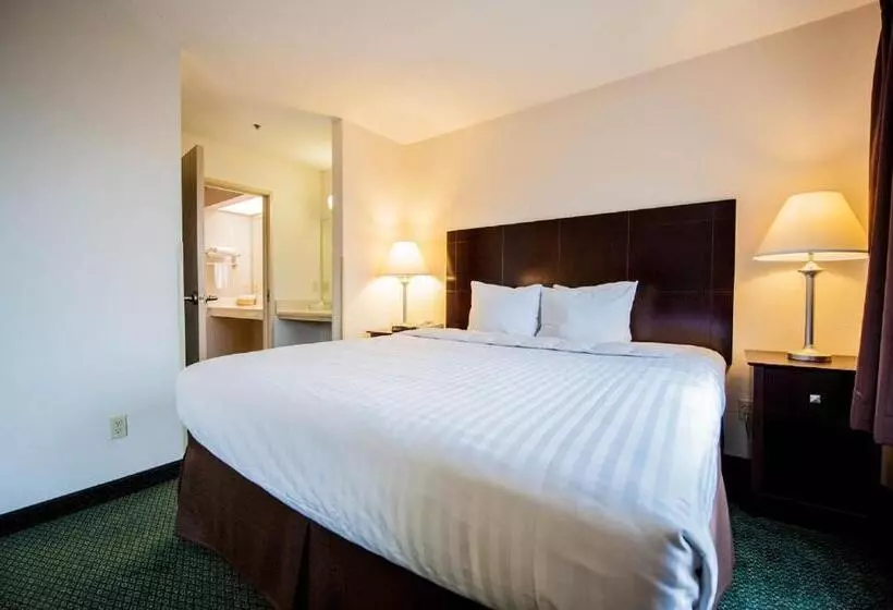 キングサイズベッドのスタンダードルーム, Greystone Inn & Suites