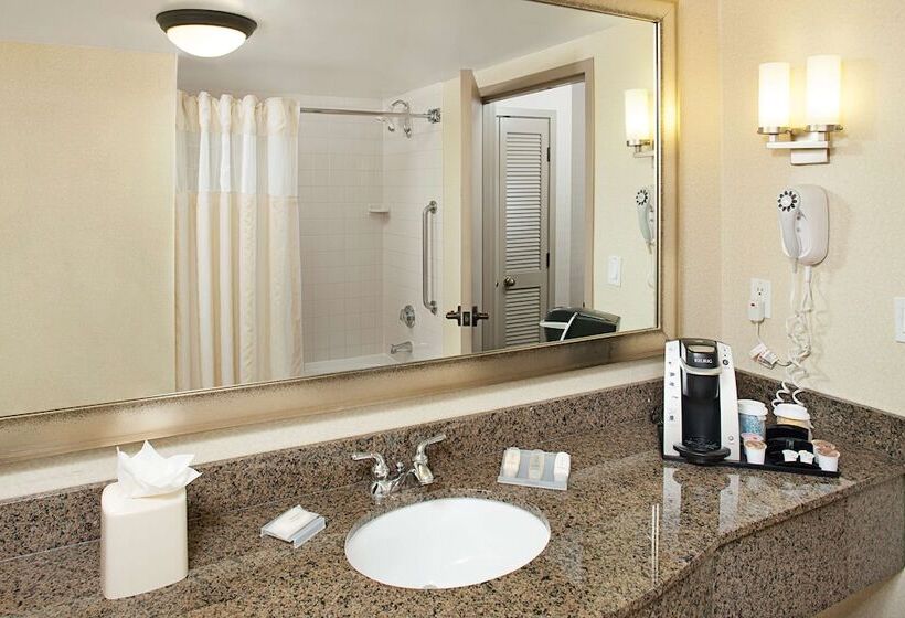 Номер Стандарт 2 Двуспальные Кровати, Hilton Garden Inn Denver Tech Center