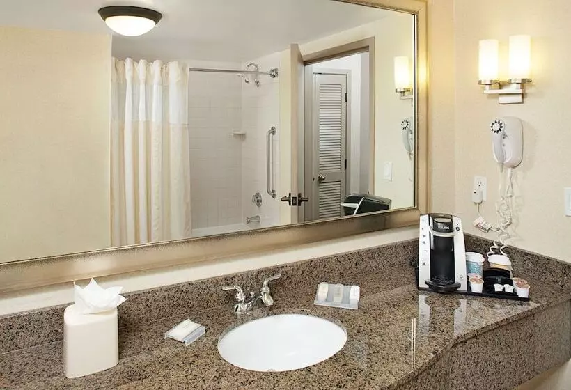 اتاق استاندارد با 2 تخت دوبل, Hilton Garden Inn Denver Tech Center