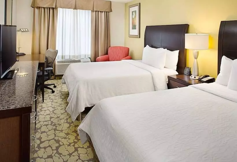 اتاق استاندارد با 2 تخت دوبل, Hilton Garden Inn Denver Tech Center