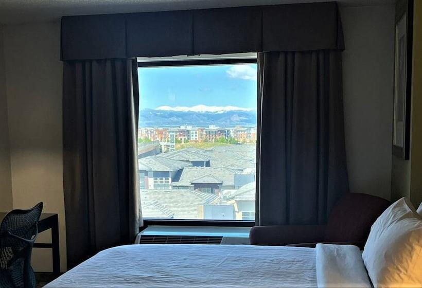 스탠다드 룸 더블 침대 2개, Hilton Garden Inn Denver Tech Center