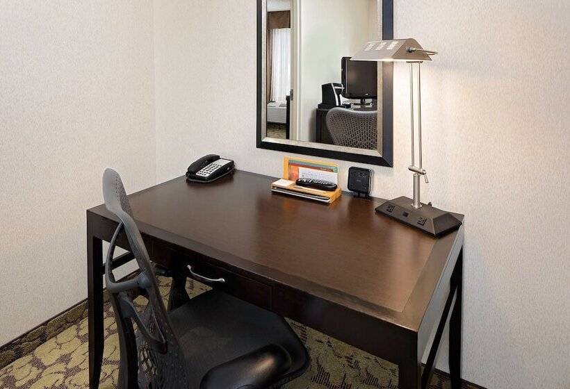 스탠다드 룸 더블 침대 2개, Hilton Garden Inn Denver Tech Center