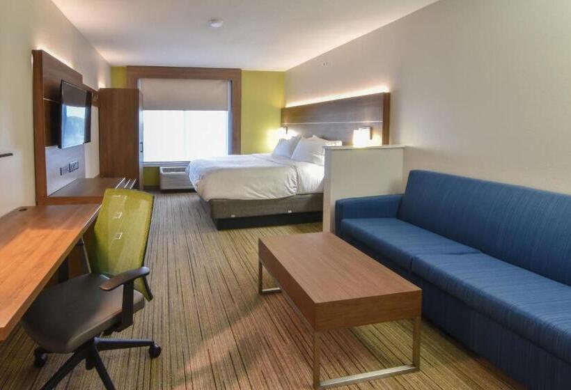 Suite met Kingsize Bed, Holiday Inn Express & Suites   Indianapolis Northwest, An Ihg