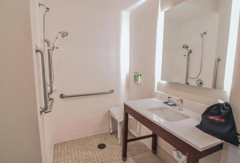 غرفة قياسية سرير كينج لذوى الإحتياجات الخاصة, Holiday Inn Express & Suites   Indianapolis Northwest, An Ihg