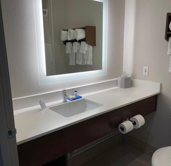 غرفة قياسية سرير كينج لذوى الإحتياجات الخاصة, Holiday Inn Express & Suites   Indianapolis Northwest, An Ihg