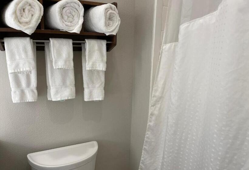 جناح لذوى الاحتياجات الخاصة, Holiday Inn Express & Suites   Indianapolis Northwest, An Ihg