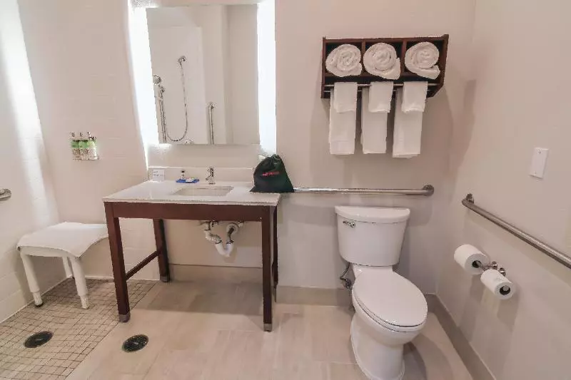 اتاق استاندارد با تخت بزرگ برای معلولان, Holiday Inn Express & Suites Indianapolis Northwest, An Ihg