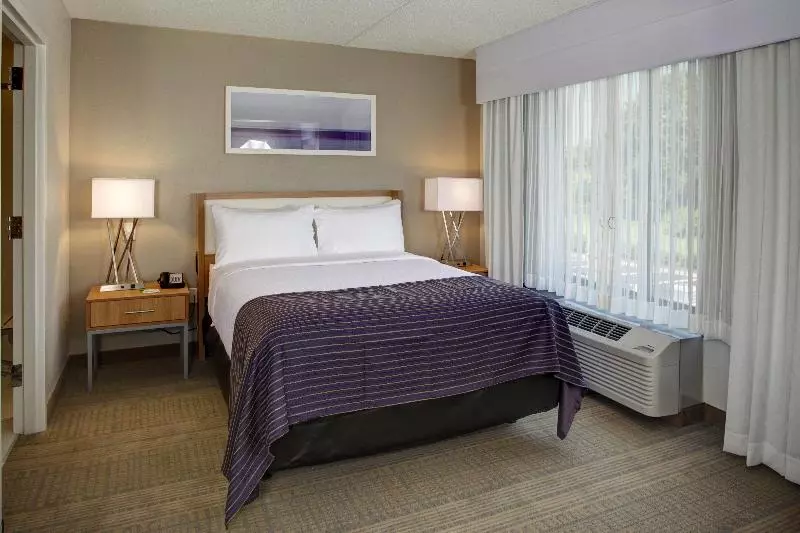 身障者適用キングサイズベッドルーム, Holiday Inn Franklin   Cool Springs, An Ihg