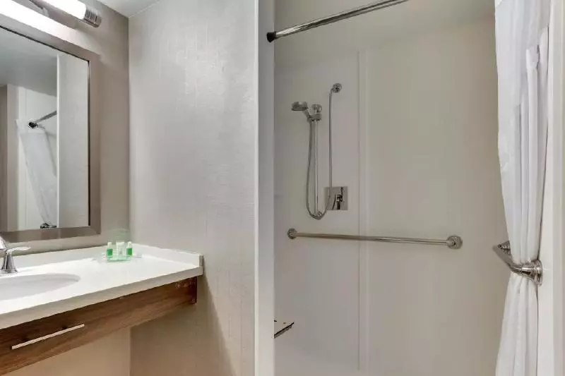 身障者適用キングサイズベッドルーム, Holiday Inn Franklin   Cool Springs, An Ihg