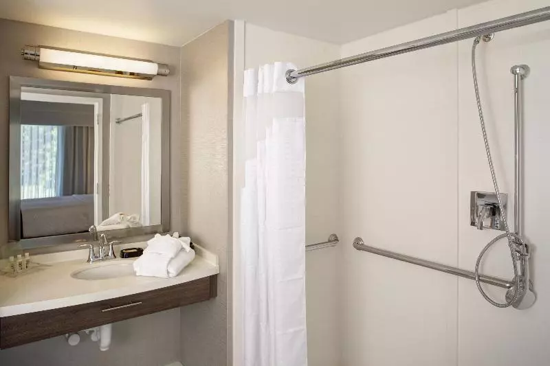身障者適用キングサイズベッドルーム, Holiday Inn Franklin   Cool Springs, An Ihg