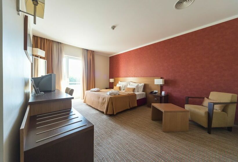 اتاق استاندارد یک نفره, Lusitania Congress & Spa