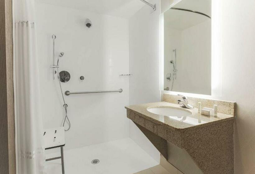 Süit, Springhill Suites By Marriott Austin Parmer/tech Ridge