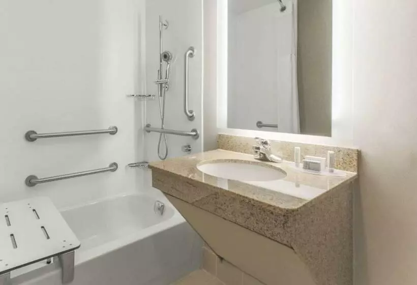 スイート, Springhill Suites By Marriott Austin Parmer/tech Ridge