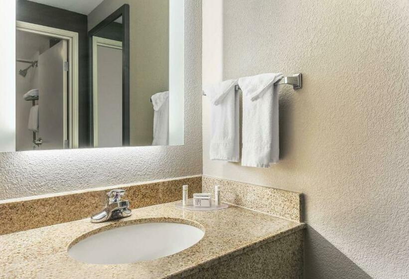 Suite, Springhill Suites By Marriott Austin Parmer/tech Ridge