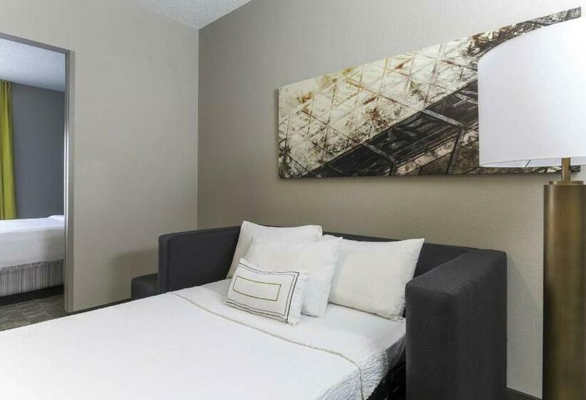 Süit, Springhill Suites By Marriott Austin Parmer/tech Ridge