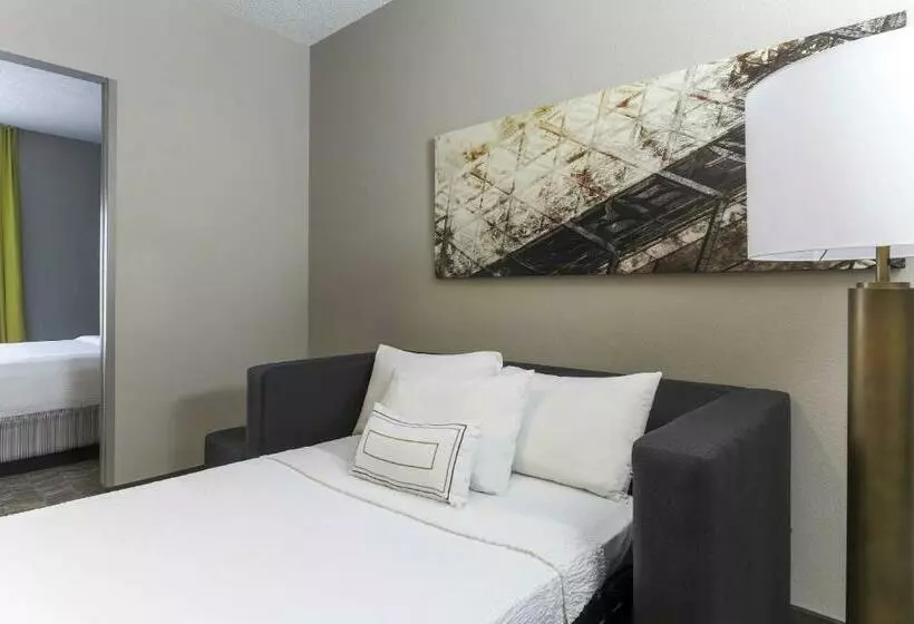 スイート, Springhill Suites By Marriott Austin Parmer/tech Ridge