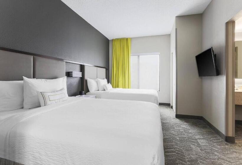 Suite, Springhill Suites By Marriott Austin Parmer/tech Ridge