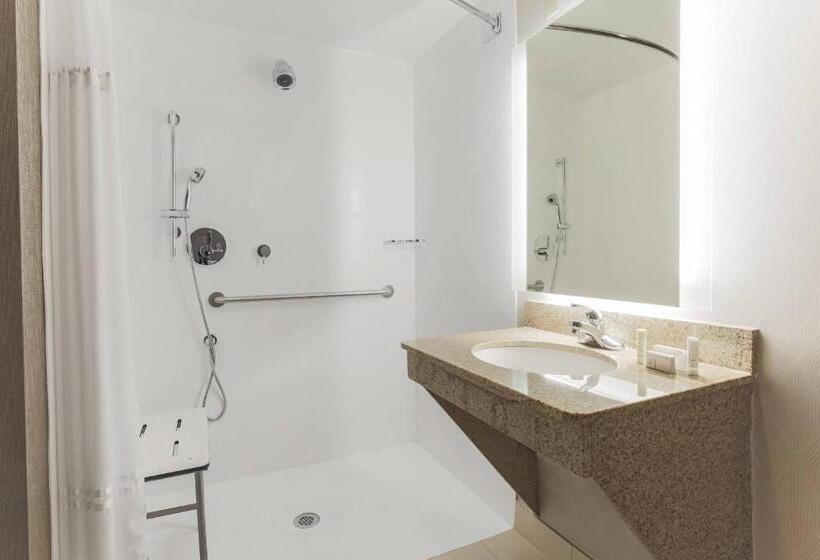 Büyük Çift Kişilik Yataklı Süit, Springhill Suites By Marriott Austin Parmer/tech Ridge