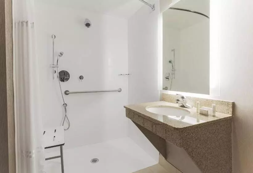 キングサイズベッドのスイートルーム, Springhill Suites By Marriott Austin Parmer/tech Ridge