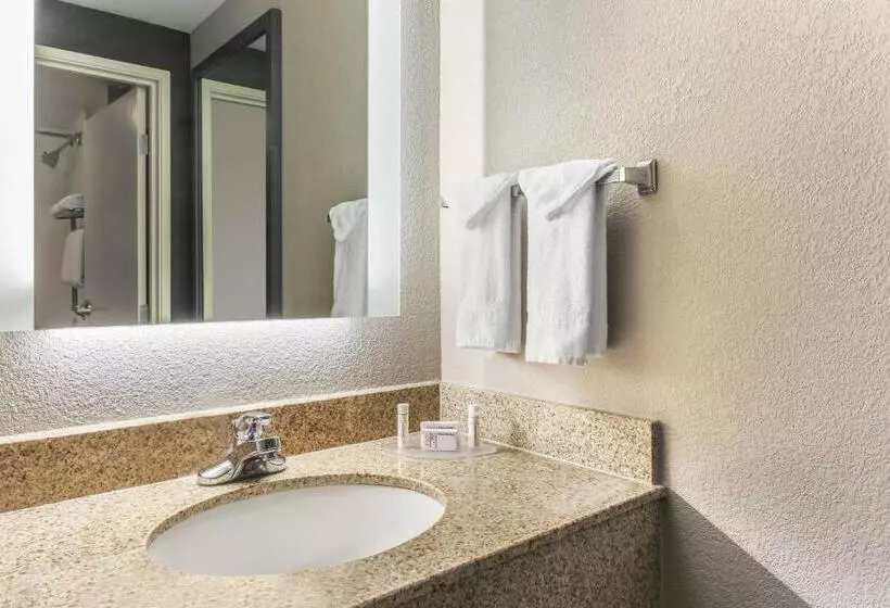 キングサイズベッドのスイートルーム, Springhill Suites By Marriott Austin Parmer/tech Ridge