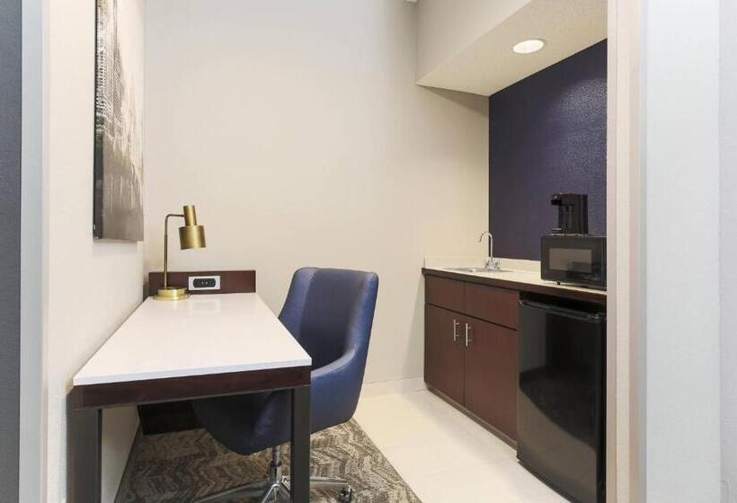 Suite Lit King, Springhill Suites By Marriott Austin Parmer/tech Ridge