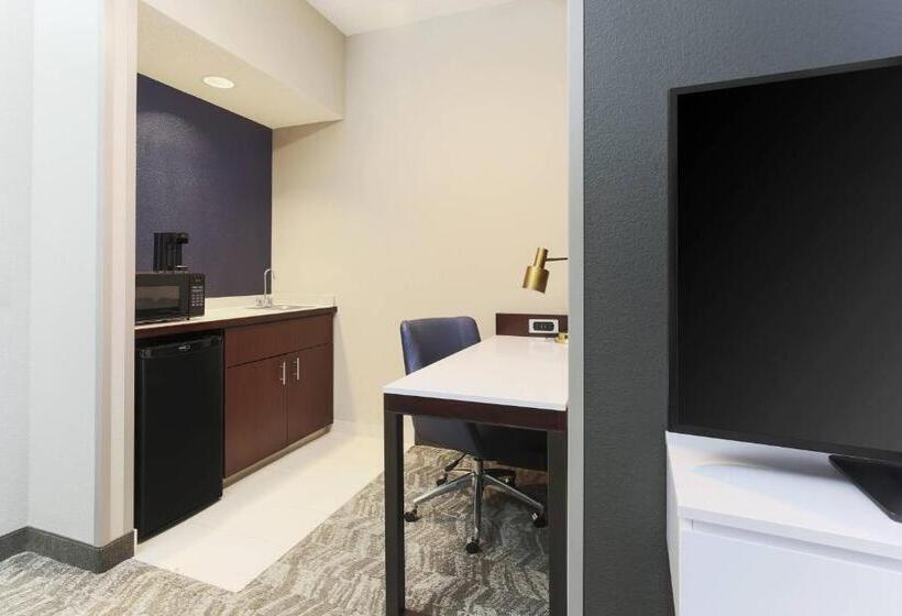 Büyük Çift Kişilik Yataklı Süit, Springhill Suites By Marriott Austin Parmer/tech Ridge