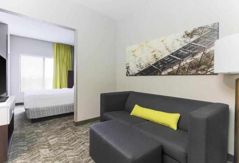Suite Lit King, Springhill Suites By Marriott Austin Parmer/tech Ridge