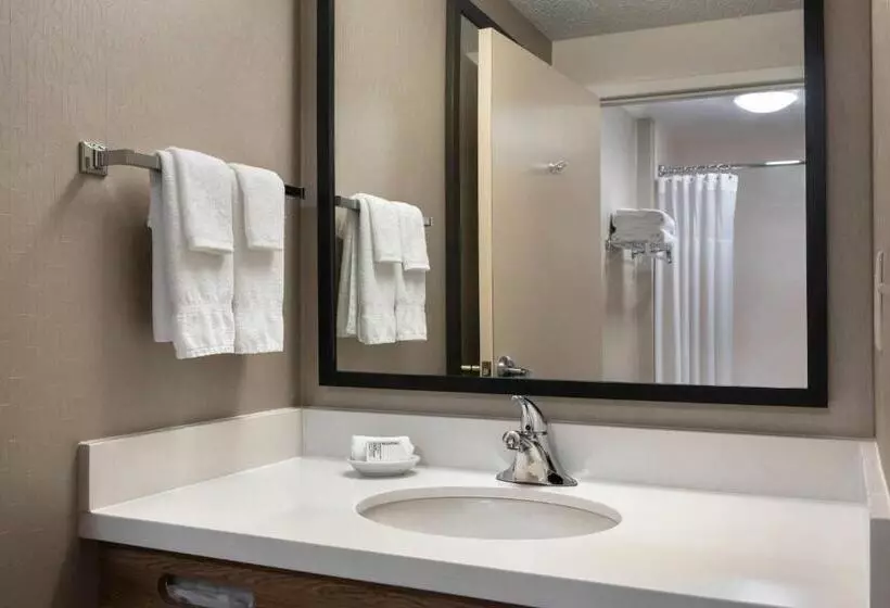 キングサイズベッドのスイートルーム, Springhill Suites Danbury