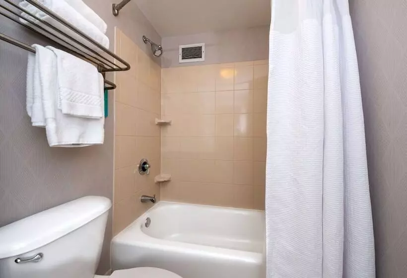 استودیوی استاندارد, Springhill Suites By Marriott Pittsburgh North Shore